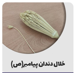 خلال دندان پیامبر