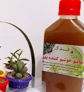 شامپو خوشبو کننده بدن